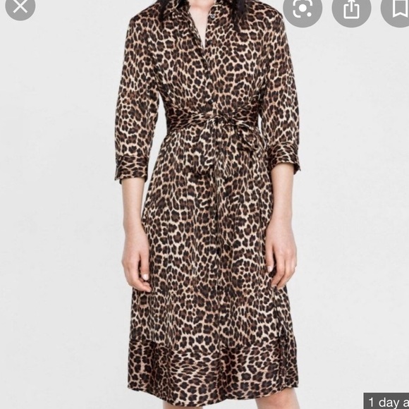 Leopard Shirt Dress - Picture 4 of 4